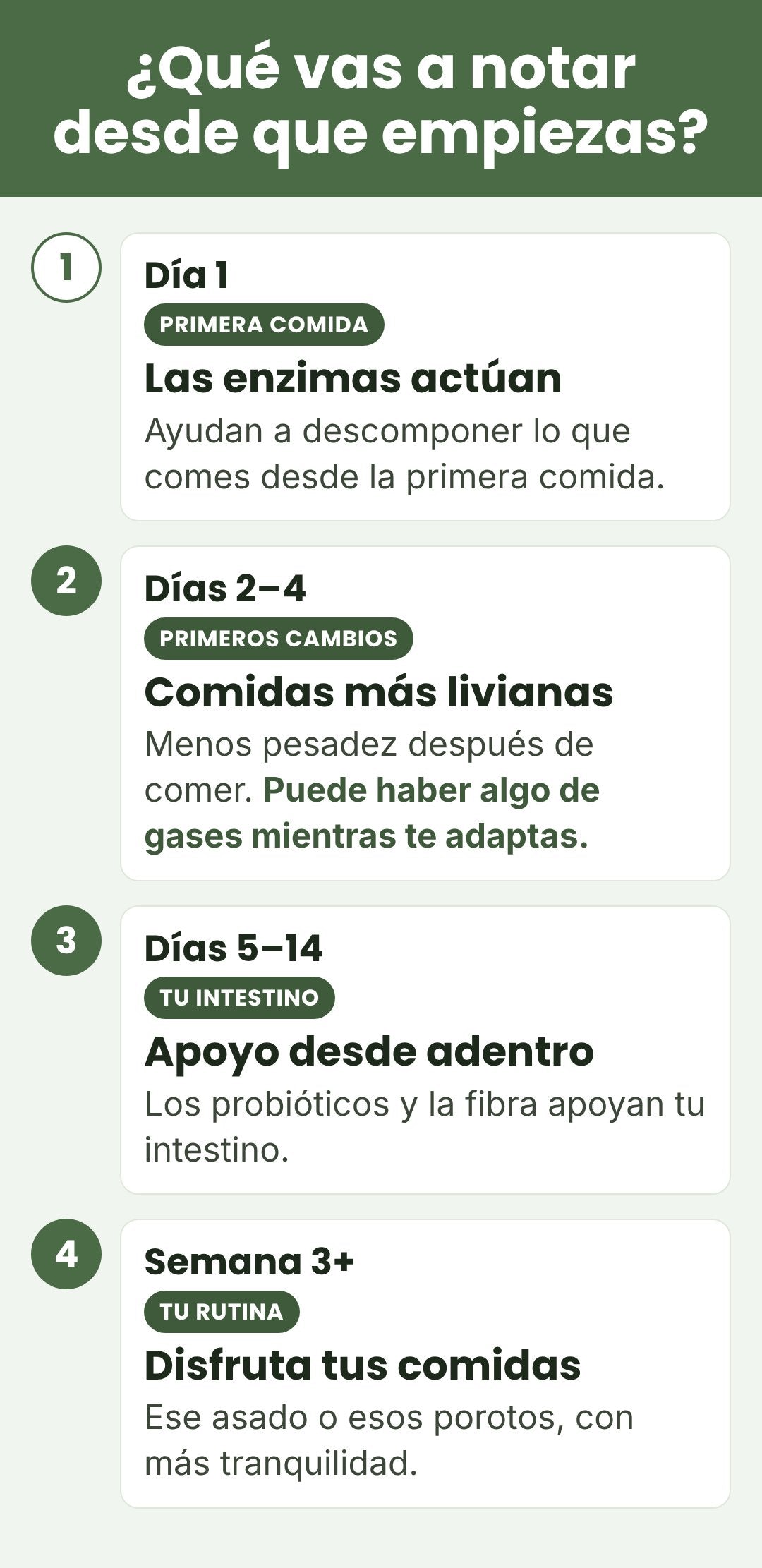 Qué vas a notar desde que empiezas a tomar las enzimas digestivas